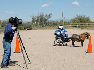 man with camera on tripod; mini horse hitched to cart with 2 people in cart
