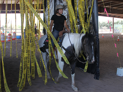 Clinic participant riding horse through strands of caution tape