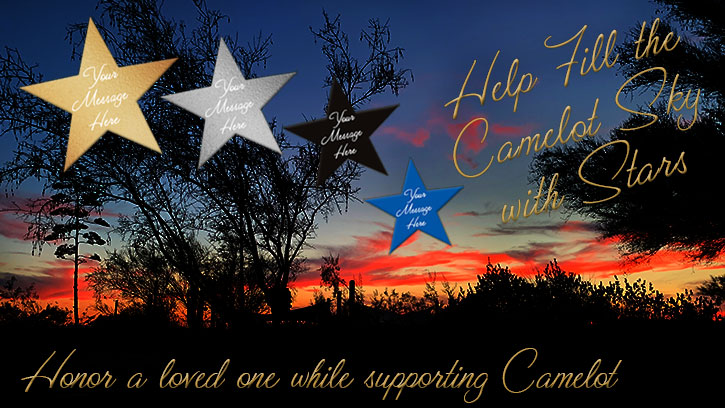 Help fill the Camelot sky with stars