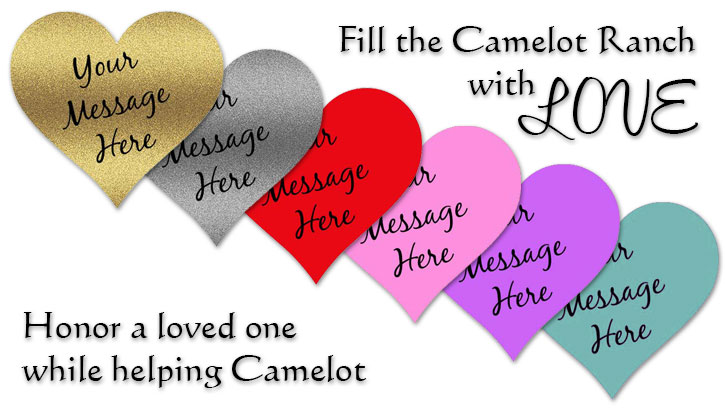 Fill the Camelot Ranch with Love - Honor a loved one while helping Camelot
