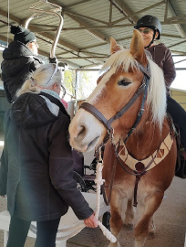 Trixie with student who has mounted using the overhead lift
