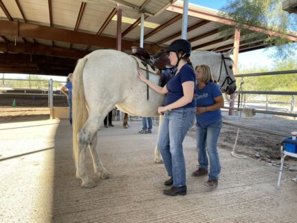 Haley moves around Barbara