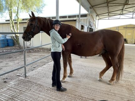 Kelly grooming Frisco