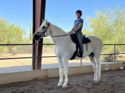 Regan riding Aiden in covered arena